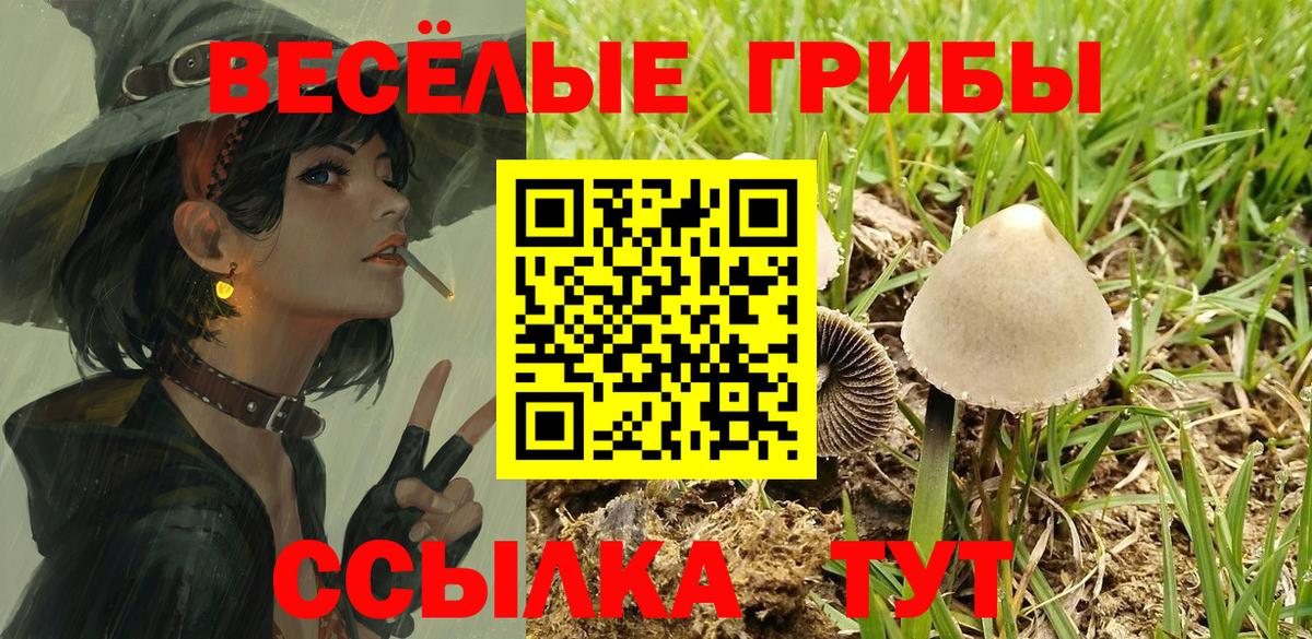 Галлюциногенные грибы прущие грибы  Вход с VPN  Сарапул  Галлюциногенные грибы Cubensis 