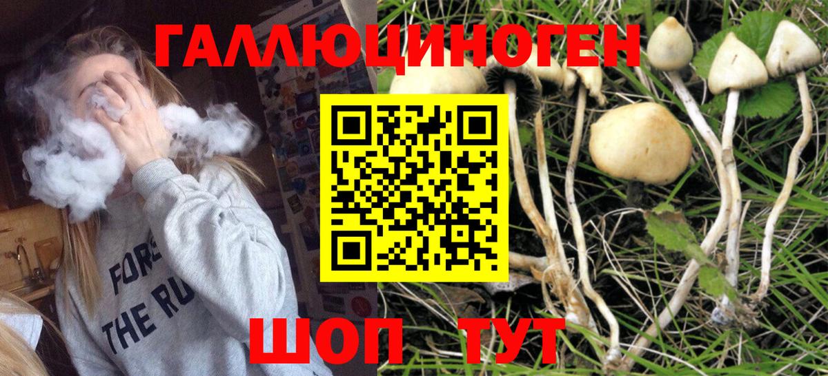 Галлюциногенные грибы GOLDEN TEACHER Сарапул