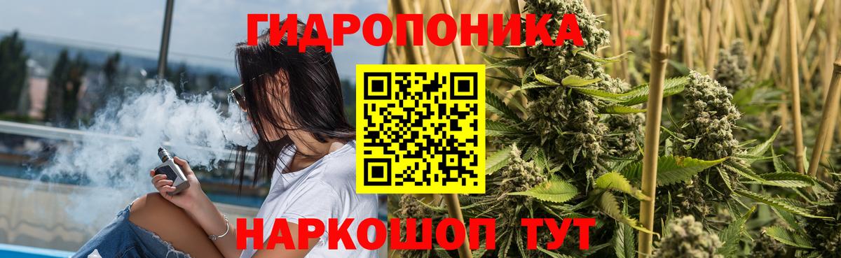 МАРИХУАНА семена Сарапул